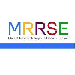 搜索引擎市場研究報告(MRRSE)