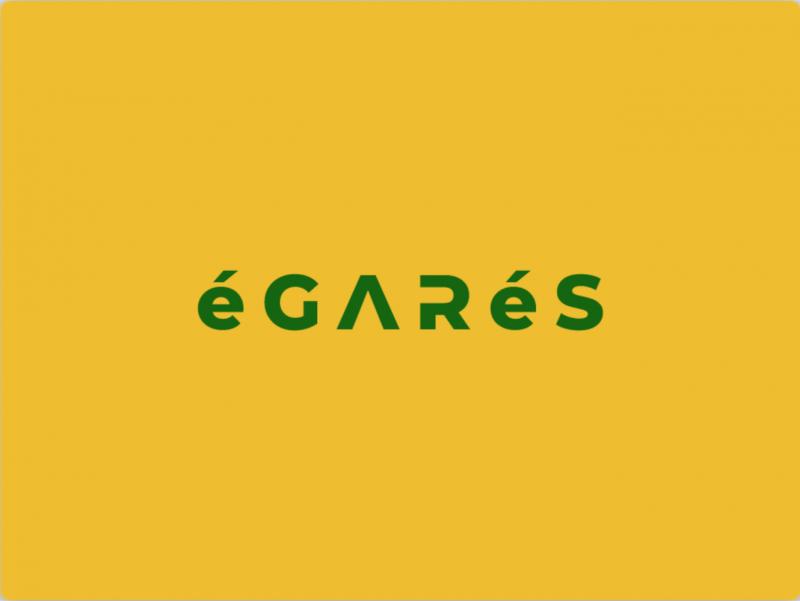 Egares LLC虛擬門向公眾開放